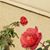Betty King's profile image