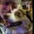 Jeff Robertson's profile image