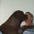 Cathie Brown's profile image