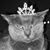 Julie D Rhoden's profile image