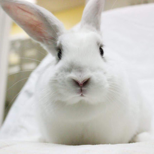 Chloé's profile image