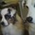 Brenda Boody's profile image
