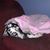 Bonnie Trofitter's profile image