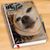 Marsha B. Price's profile image
