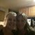 Jackie Harley's profile image