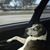 Juan E. Sanchez's profile image