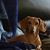 Dana Wade Wheatley's profile image