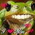Donna Johnsen Lessor's profile image