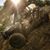 Harrison Jessee Jr's profile image