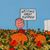 Karen Ririe Distefano's profile image