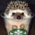 Victoria Ziton's profile image