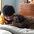 Rina N. Courtier's profile image