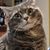 Melissa Slevin's profile image