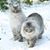 Terrie Griffith's profile image