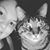 Michelle Eisert's profile image
