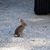 Patricia Revelle's profile image