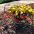 LaDonna Curtis's profile image