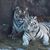 Bill Greathouse's profile image