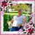 Lisa Mazak's profile image