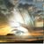 Kathie Dorney's profile image