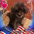 Dale Carini's profile image