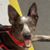 Jill Cheyanne Wendt's profile image