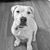 Katie Glatts-Griffis's profile image