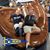 Lisa Krakofsky Becker's profile image