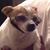 Peggy Broadway's profile image