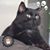Axl Wickam's profile image