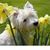 Sharon W.'s profile image