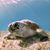 Dianne Weinberg's profile image