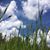 Donna Lemay's profile image