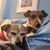 Cindy Somers's profile image