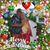 Bernadette Clemens Risius's profile image