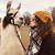 Kathleen Sullivan Hoban's profile image