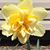 LaRissa Tidwell's profile image