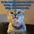Tracy Edler Leduc's profile image