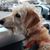 Doug Haak's profile image