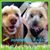 Judy Mee's profile image