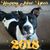 Dawn Andersen's profile image