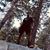 James Merriweather IV's profile image