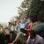 JoAnn Convery's profile image