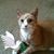 Gayla Spotila's profile image