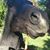 Ray Burns's profile image