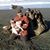 Robert Bronnenberg's profile image