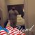 Harvey Watkins's profile image