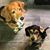 Marcy Postma's profile image