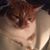 Pam Soltman's profile image