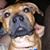 Marcia Michel Barber's profile image